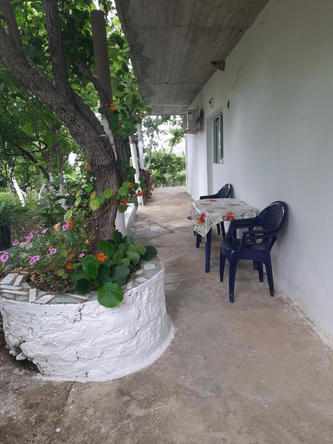 Hillside Apartments 博尔什 外观 照片