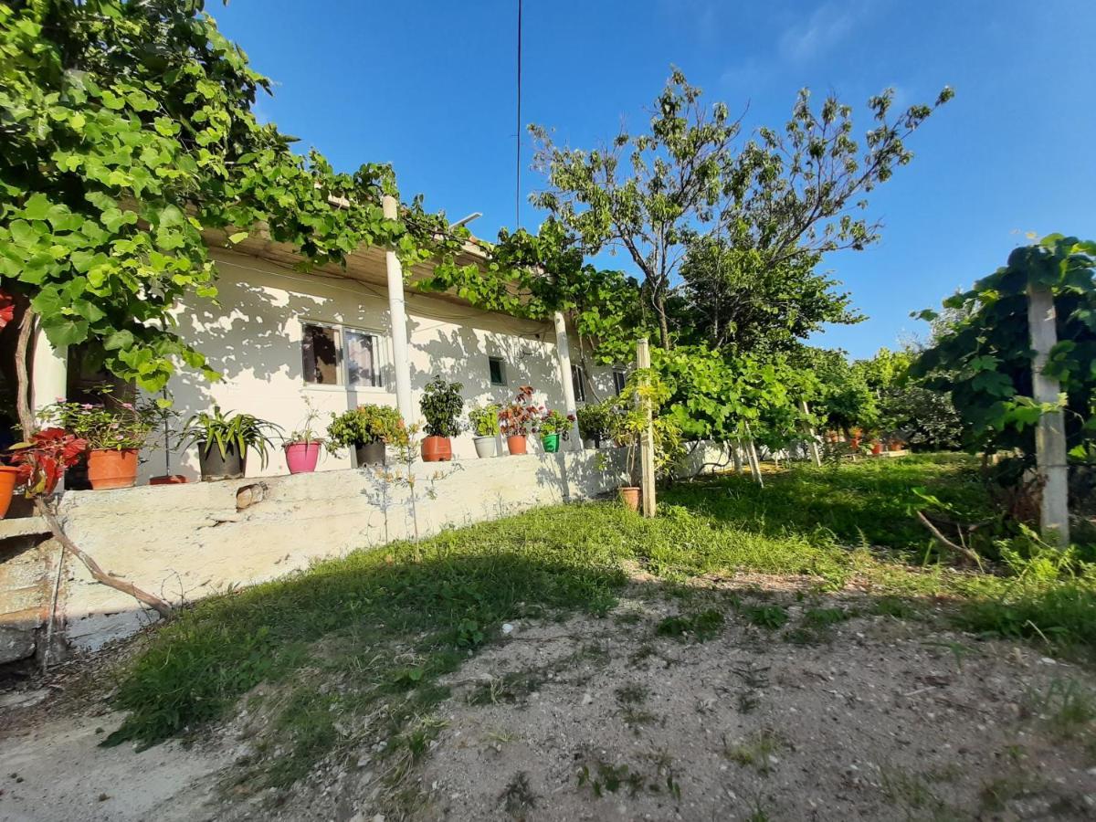 Hillside Apartments 博尔什 外观 照片